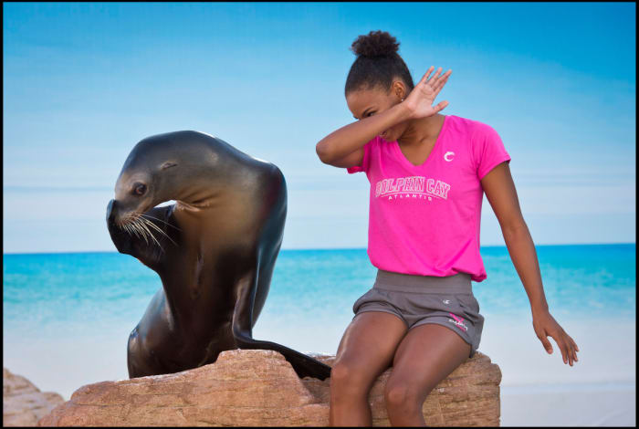 Playtime With Sea Lion_2 - GALLERY.jpg